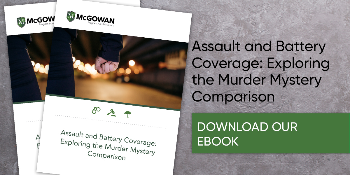 230901_McGowan_Types_of_Assault_Ebook_Ebook_CTA (1)